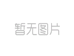 XGP在南方举行午夜球员，打破了百万万亿美元